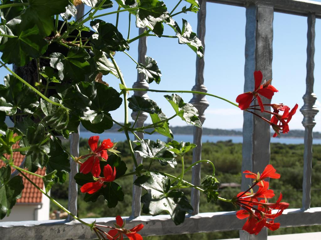 Apartment Arta Vodice Eksteriør bilde